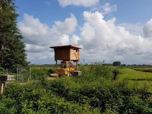 Bild: Schutzraum für Flora und Fauna