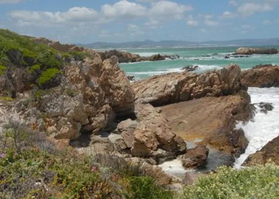 Bild: Gartenfreunde und Gourmets am Western Cape