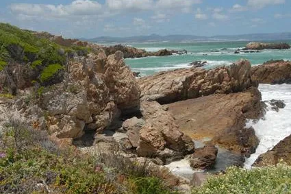 Gartenfreunde und Gourmets am Western Cape Bild: Gartenfreunde und Gourmets am Western Cape