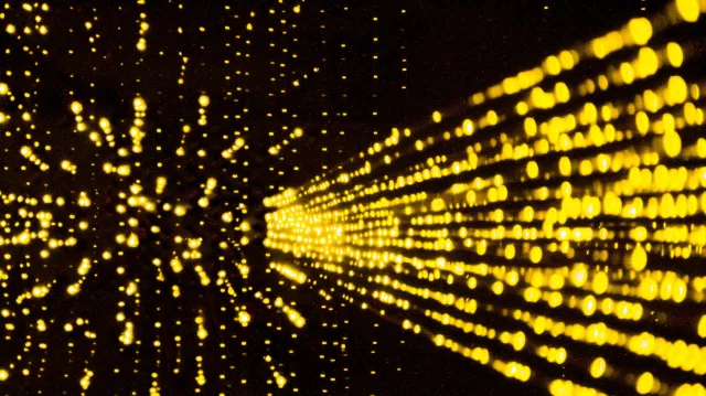 Bild: Next Gen IT Systems Magdeburg GmbH mandatiert CONFIDEX zur strukturierten Investorensuche