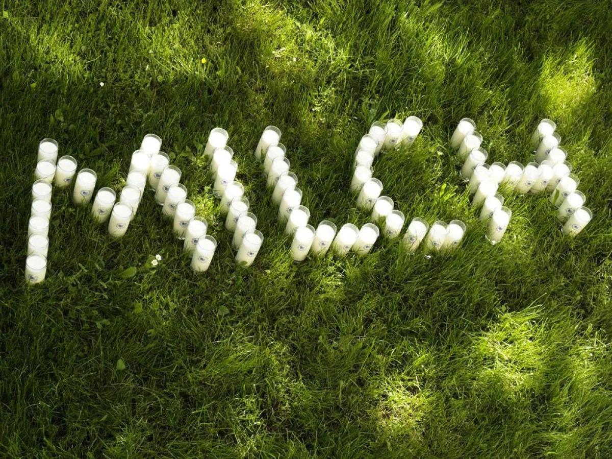 Kick-off zum Tag der Milch (Bildquelle: LVBM)