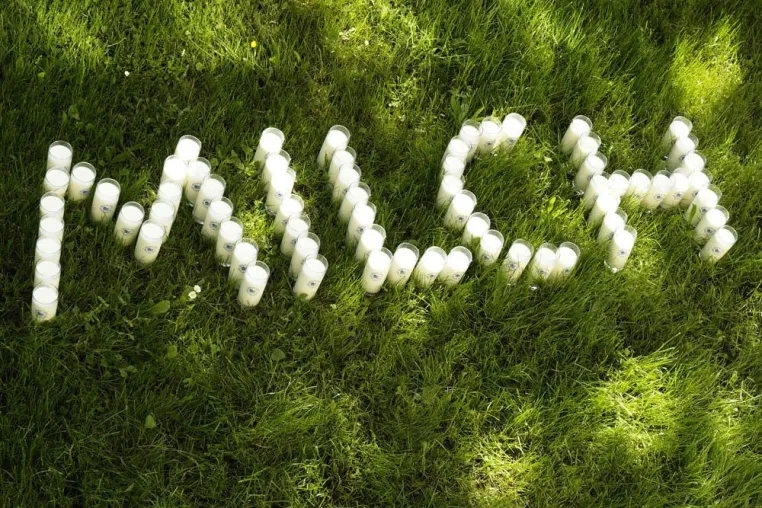 Bild: Tag der Milch am 1. Juni - Kick-off