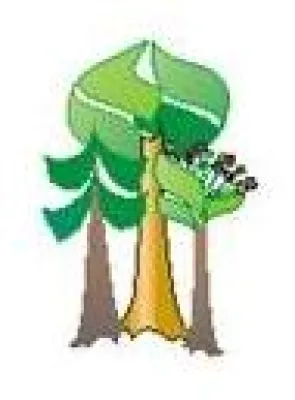 Bild: Überzeugen Sie sich vor Ort – Informationsreise für Forstinvestoren nach Paraguay