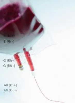 Bild: Blut - ein ganz besonderer Saft