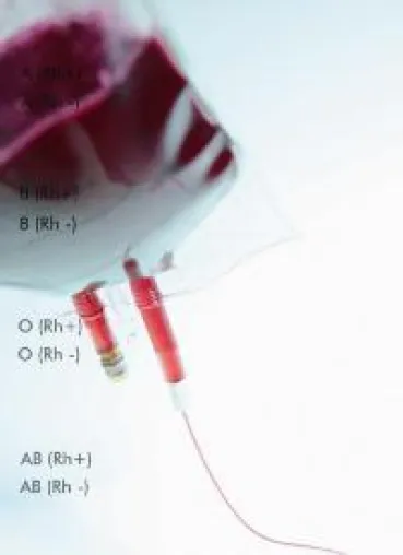 Bild: Blut - ein ganz besonderer Saft