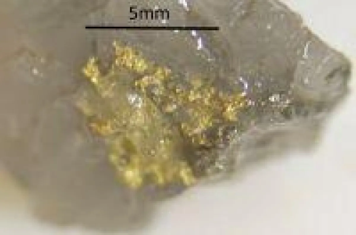 Sichtbares Gold von Hemi; Foto: De Grey Mining