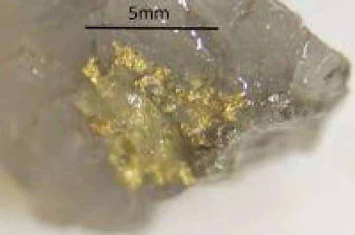 Bild: De Grey Mining: Diese Goldgehalte sind außergewöhnlich!