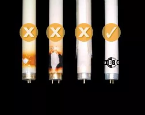 Bild: Splitterschutzlampen von GlassGuard®: Hoher Standard bietet Absatzchancen für den Handel