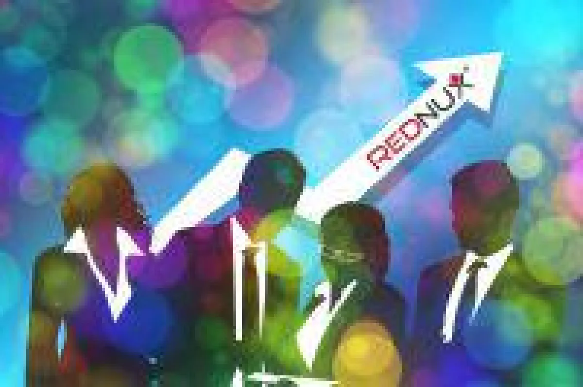 Das niedersächsische Start-Up-Unternehmen REDNUX hat gut zugelegt.