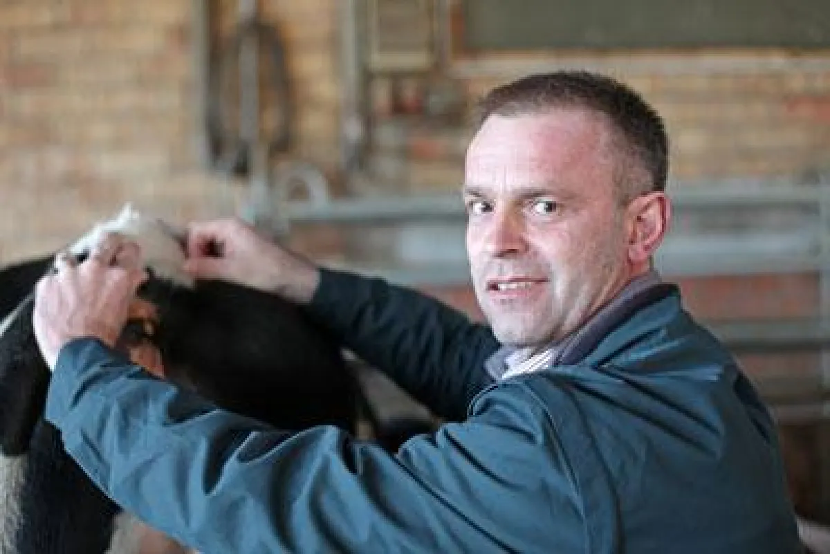 Area Veterinary Manager Ruminants Ansgar Busch