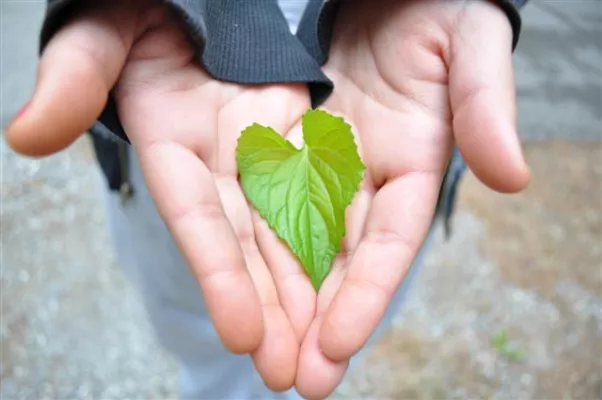 Bild: Sozial verantwortliche und umweltbewusste Sprachreisenangebote – Die Nachhaltigkeitsinitiative von ESL