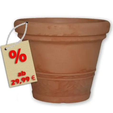 Bild: Blumentopf Bewässerung mit Maxxmemory Bewässerungssystem