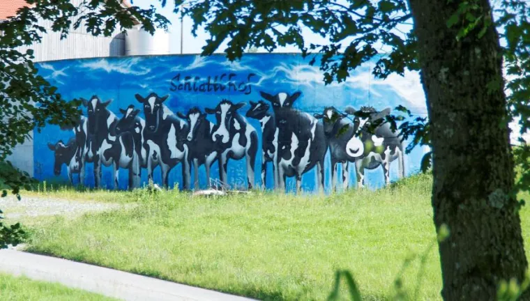 Bayerns Milchwirtschaft soll bunter werden Bild: Bayerns Milchwirtschaft soll bunter werden