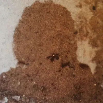 Bild: "Die Macht der Drähte" als Baustein für den eigenen Weg