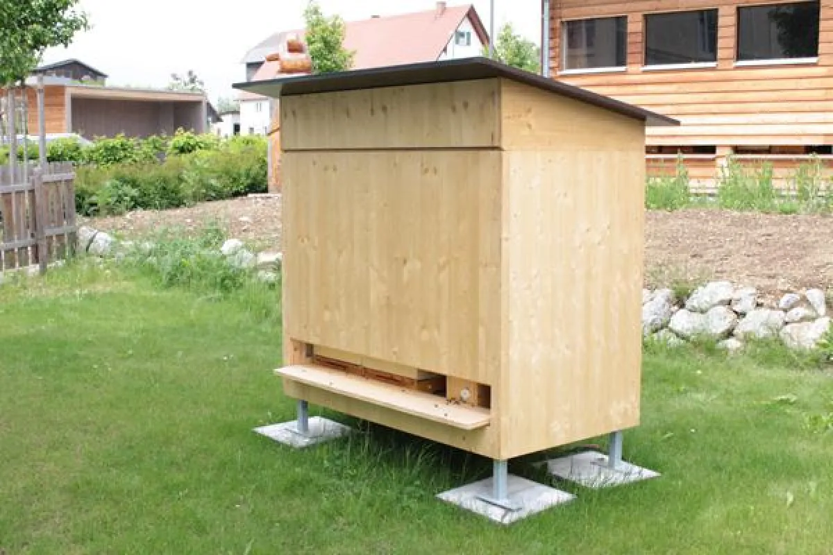 Baufritz-Azubis setzen sich aktiv für Bienen ein