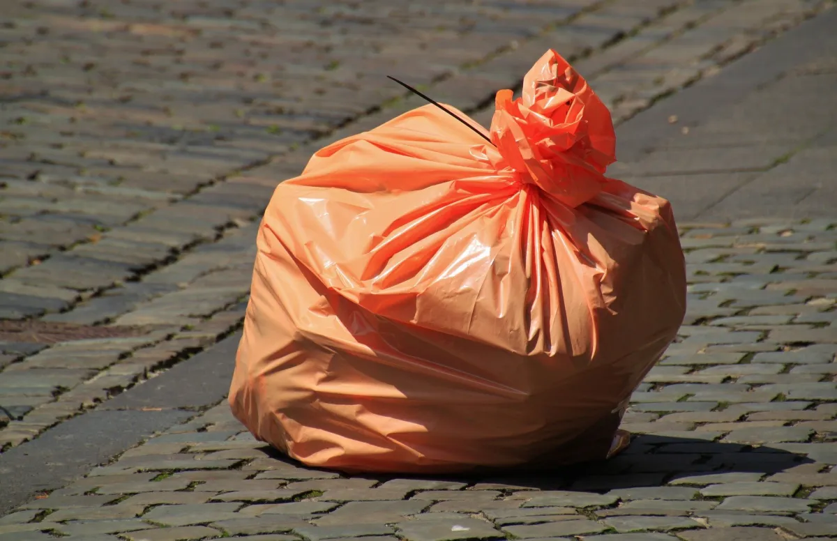 UNL und LSV räumen Lichtenrade auf - 18.09.21 - World Cleanup Day