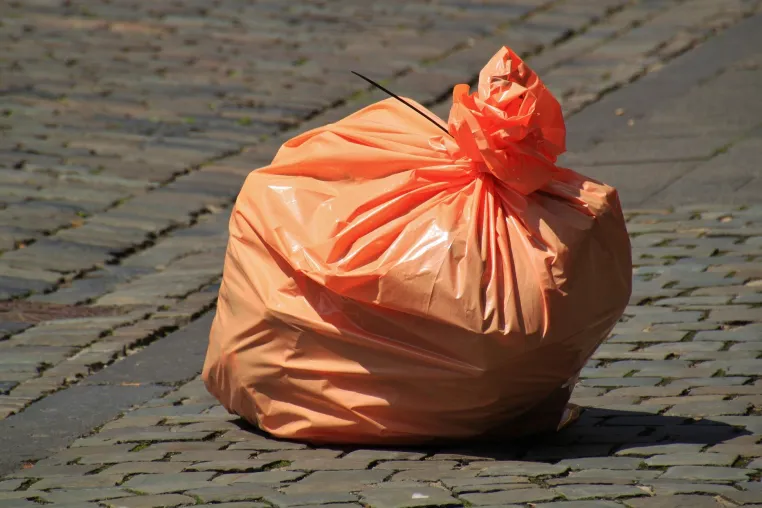 Bild: UNL und LSV räumen Lichtenrade auf - 18.09.21 - World Cleanup Day