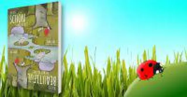 Bild: Ein "Zauberbuch" in Deutsch und Englisch für Leseanfänger: "Du bist schön, so wie du bist ..."