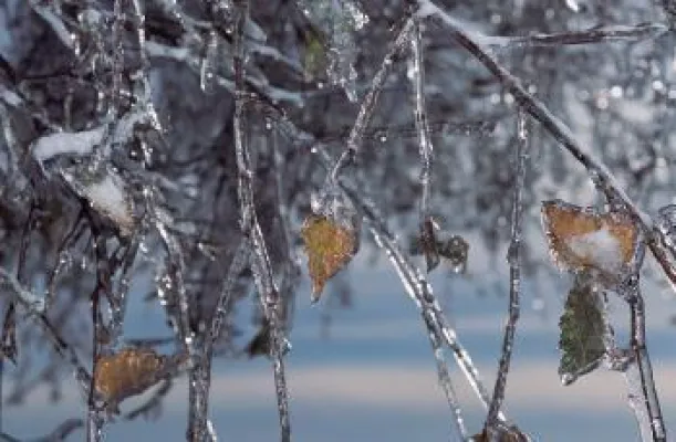 Weihnachtlicher Genuss besonderer Art - das Erlebnis Heilig Abend in Breitenberg Bild: Weihnachtlicher Genuss besonderer Art - das Erlebnis Heilig Abend in Breitenberg