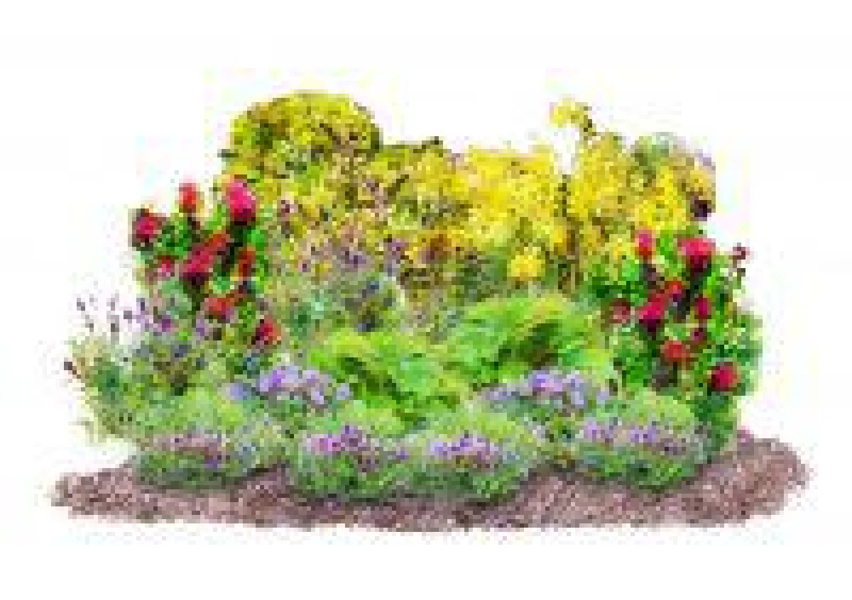 Gestaltungsidee essbarer Staudengarten mit Landgefühl®-Pflanzen