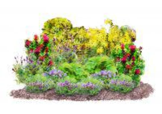 Bild: Gestaltungsidee: Blühendes, essbares Staudenbeet