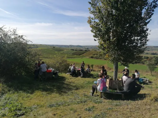 Mit Krimi2go raus aus dem Alltag - rein ins mediterrane Lebensgefühl Bild: Mit Krimi2go raus aus dem Alltag - rein ins mediterrane Lebensgefühl