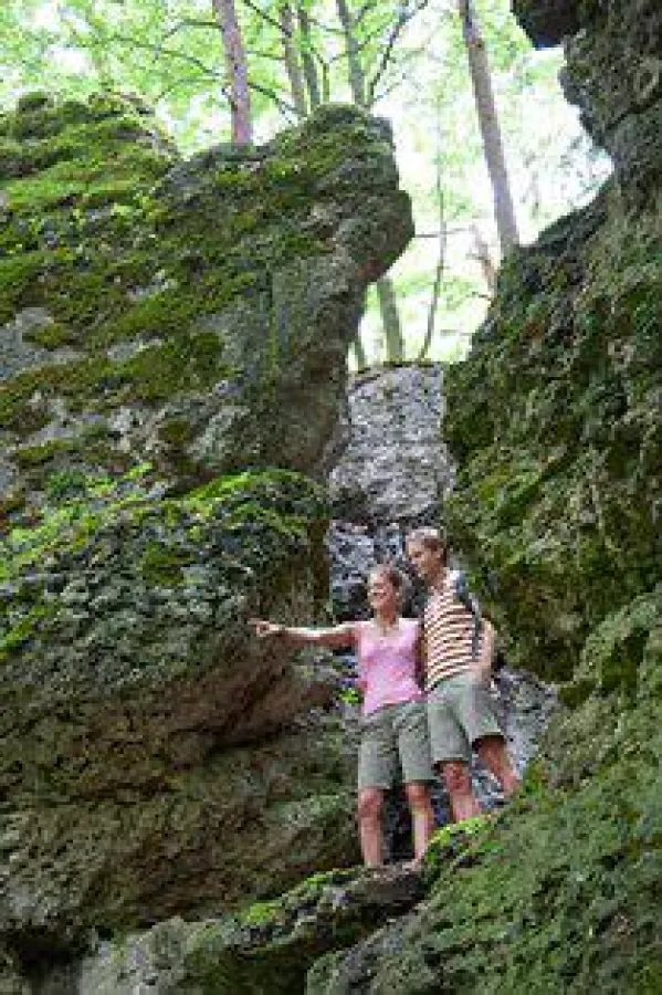 Im Hirschbachtal / Stefan Gruber