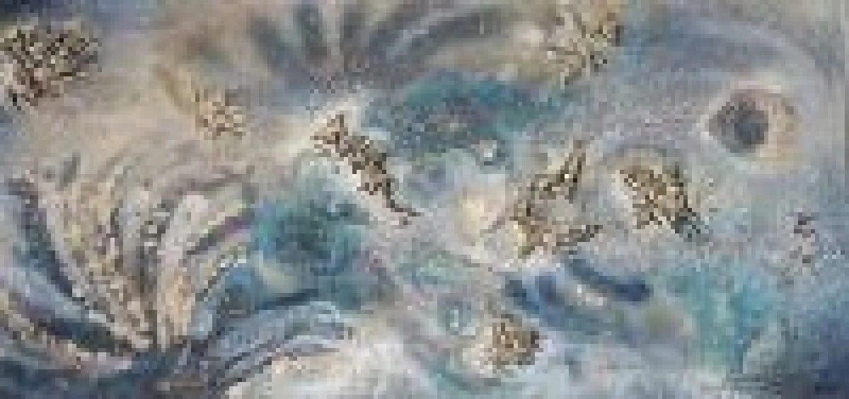 Kunst nicht nur für Sehende!