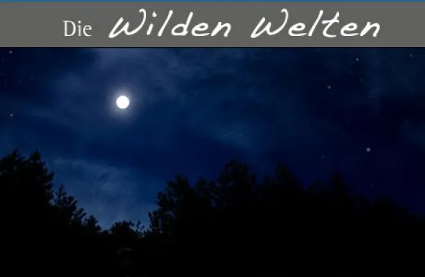 Bild: Ferienspaß bei Nacht – Kostenfreie geführte Vollmondwanderung im Sauerland