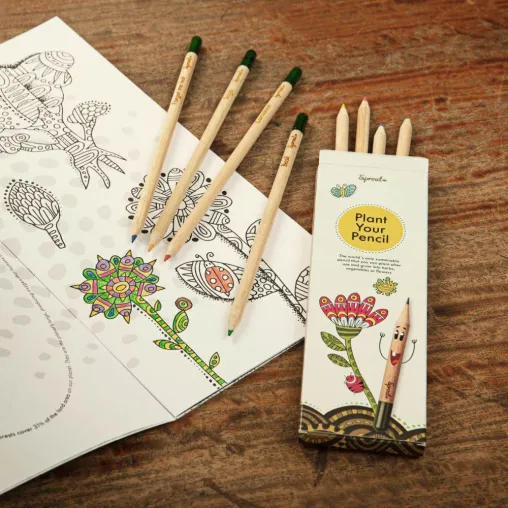 Das schönste Geschenk für Kinder: Sprout-Stifte, die zu einer Pflanze werden Bild: Das schönste Geschenk für Kinder: Sprout-Stifte, die zu einer Pflanze werden