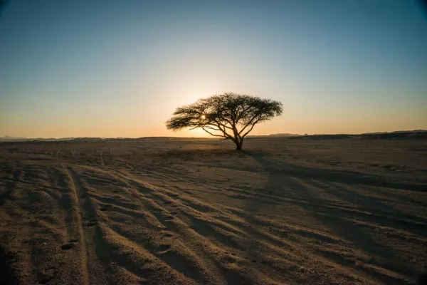 Bild: Lebensraum Wüste - Tiere und Menschen des Nationalparks Wadi el Gemal