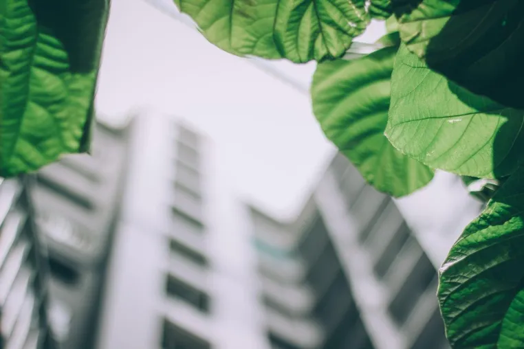 Green Building Labels: Der Zertifizierungsdruck kommt aus dem Ausland Bild: Green Building Labels: Der Zertifizierungsdruck kommt aus dem Ausland