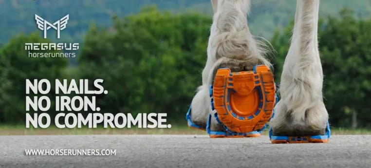 Megasus Horserunners - die weltweit ersten anklippbaren Laufschuhe für Pferde Bild: Megasus Horserunners - die weltweit ersten anklippbaren Laufschuhe für Pferde