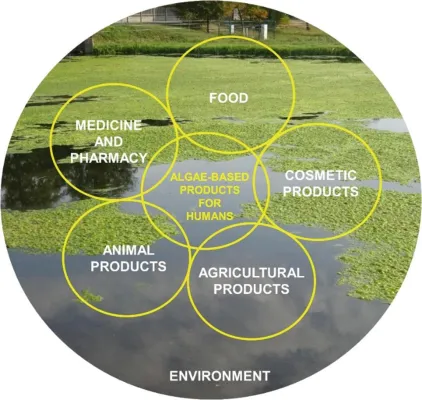 Bild: Globaler Markt für Algenprodukte erreicht bis 2024 15 Mrd. USD | TechSci Research