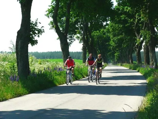 Bild: Radreisen-Programm Polen 2009