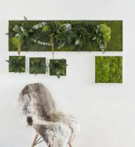 Mit Pflanzenbildern die Wand gestalten Bild: Mit Pflanzenbildern die Wand gestalten