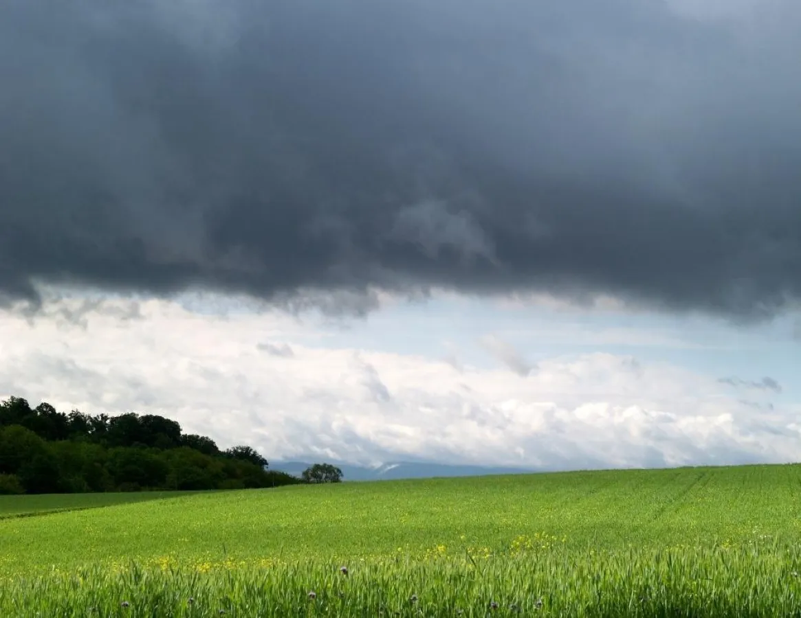 Profi-Wetter bei Proplanta