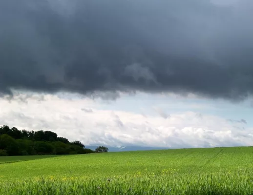 Bild: Mit einem Klick zum Profi-Wetter-Überblick