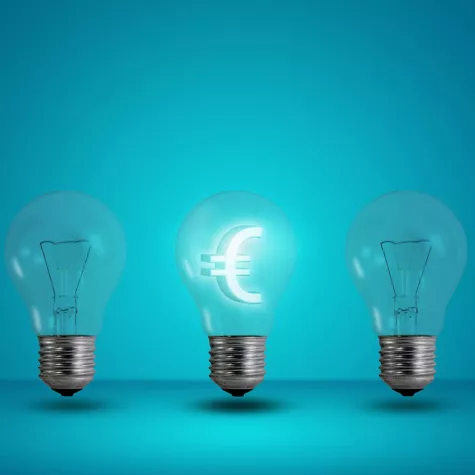 Bild: SpaEfV – wie geht es 2014 weiter?