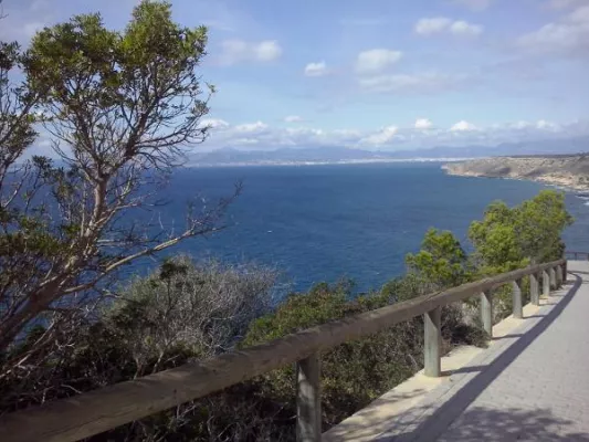 Bild: Mallorca mit Meerwert – training meets travel