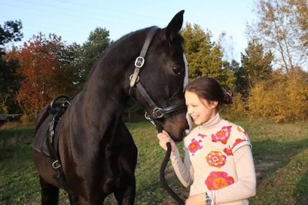 TIERISCHE TRAINER - Reittherapie und pferdegestütztes Coaching in Berlin und Brandenburg Bild: TIERISCHE TRAINER - Reittherapie und pferdegestütztes Coaching in Berlin und Brandenburg