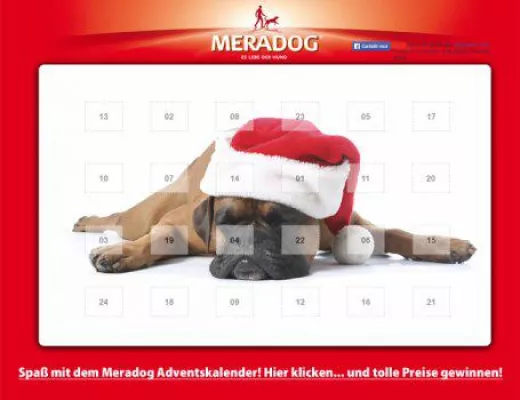 Bild: Im Meradog Online Adventskalender gibt es Gewinne und Unterhaltsames für Hundefreunde