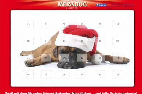 Bild: Im Meradog Online Adventskalender gibt es Gewinne und Unterhaltsames für Hundefreunde