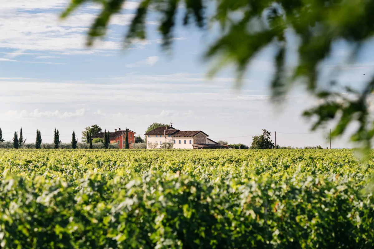 Cantina Buglioni, Weingut und Locanda im Valpolicella (© Cantina Buglioni)