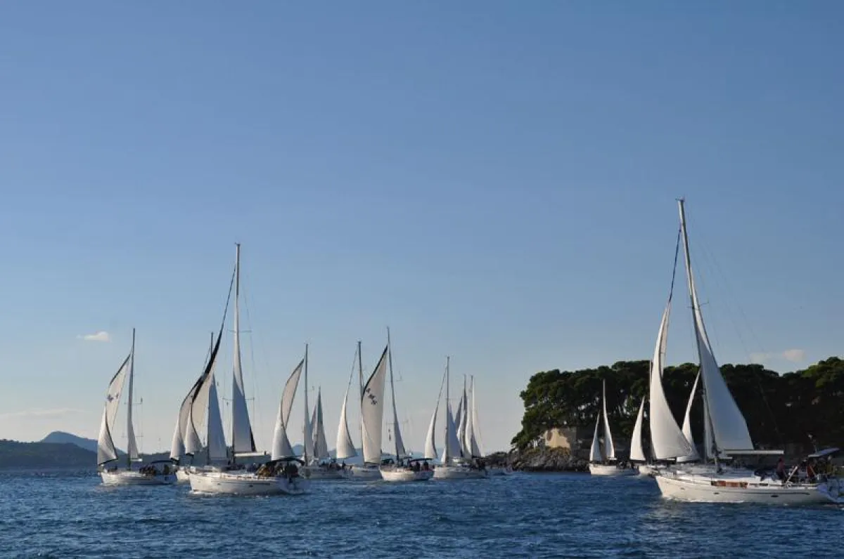 Findet bereits zum 21. Mal in Kroatien statt: die Segelregatta AMS-Cup (Foto: AMS-Yachting)
