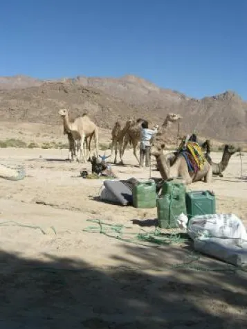 Bild: Zu Ostern in die Sahara