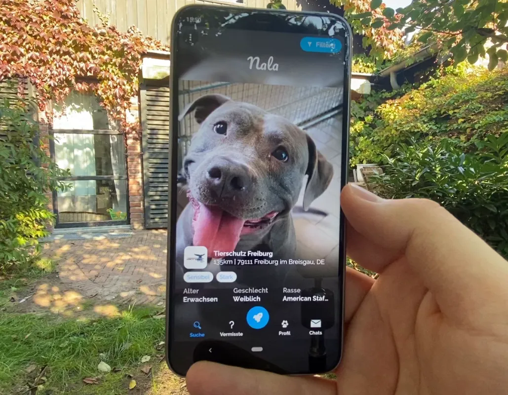 Finde eine Tierpersönlichkeit, die zu Dir passt, ganz bequem von Deinem Smartphone.