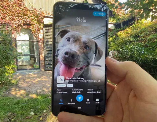 Bild:  Pet Fellows – a simple and fun network to help pets in need