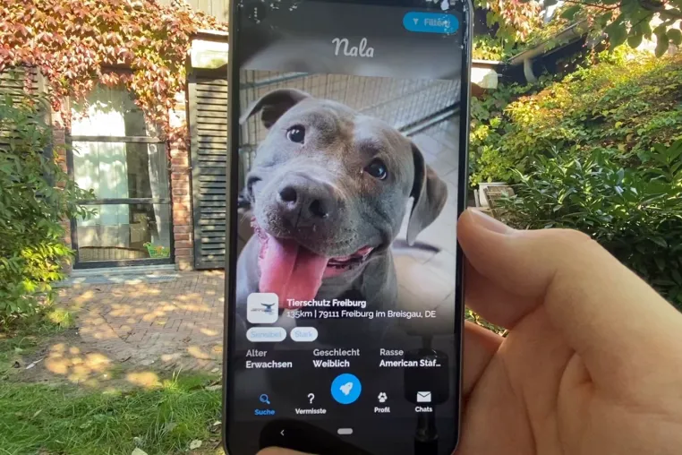 Bild:  Pet Fellows – a simple and fun network to help pets in need