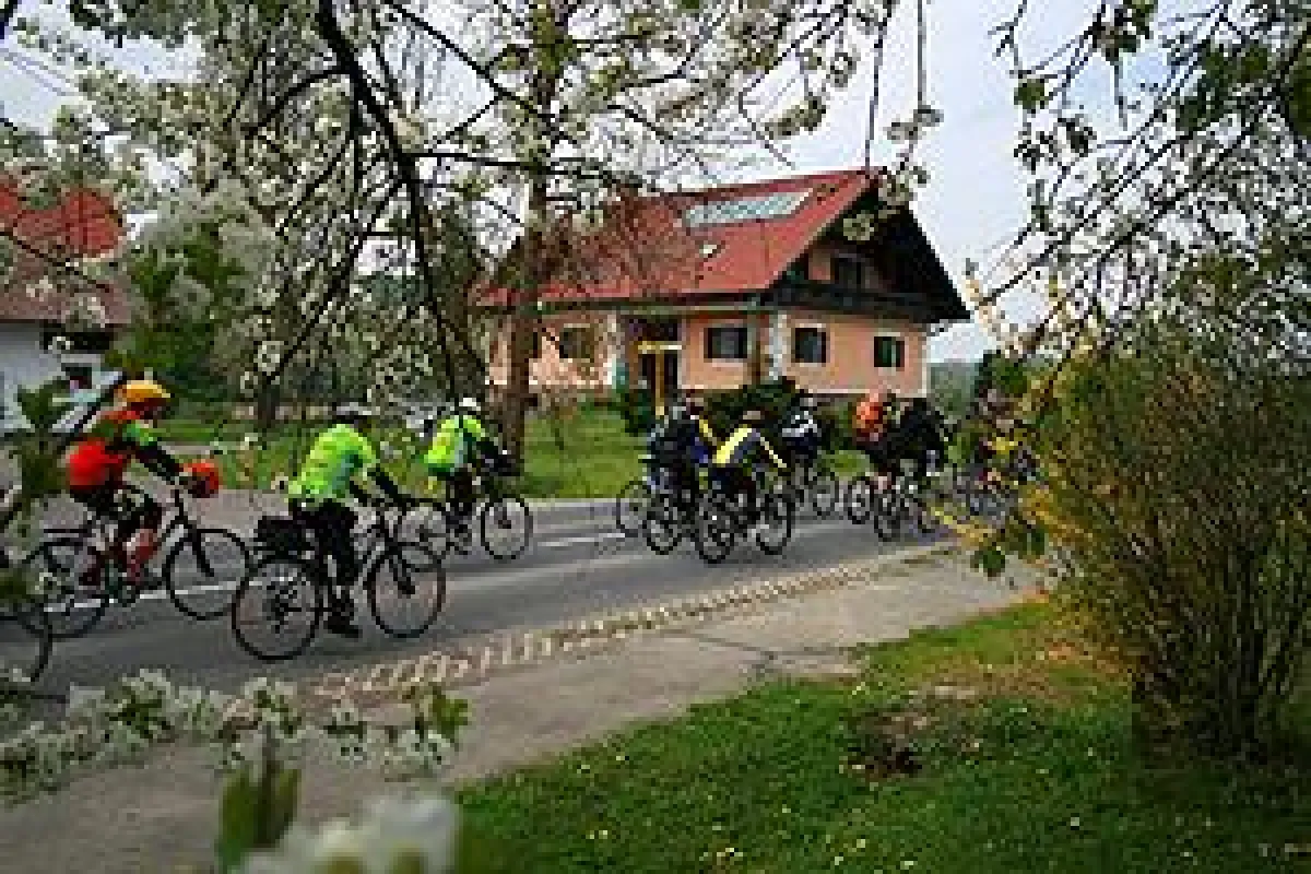 Anradeln 2011 in der blühenden Südsteiermark